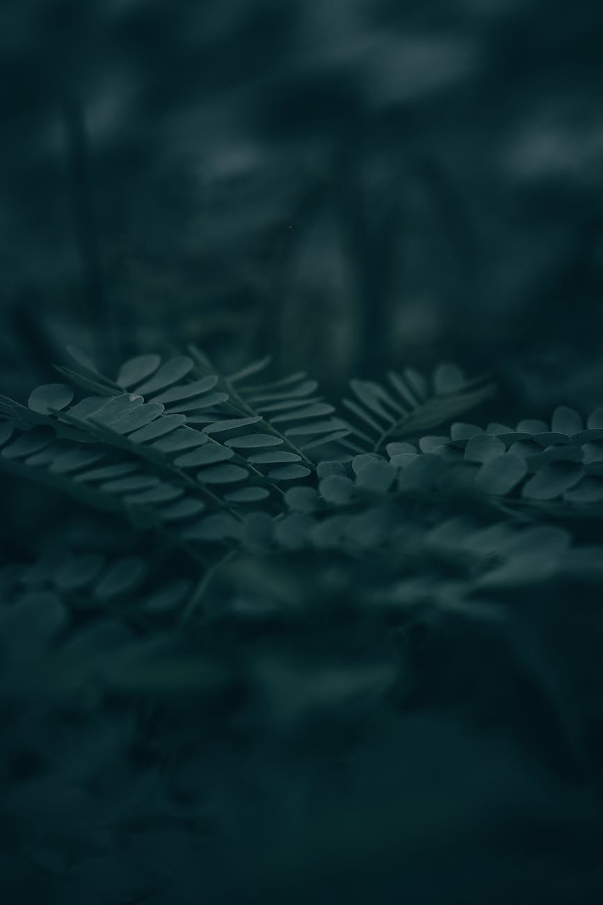 Suchergebnisse und Rankings